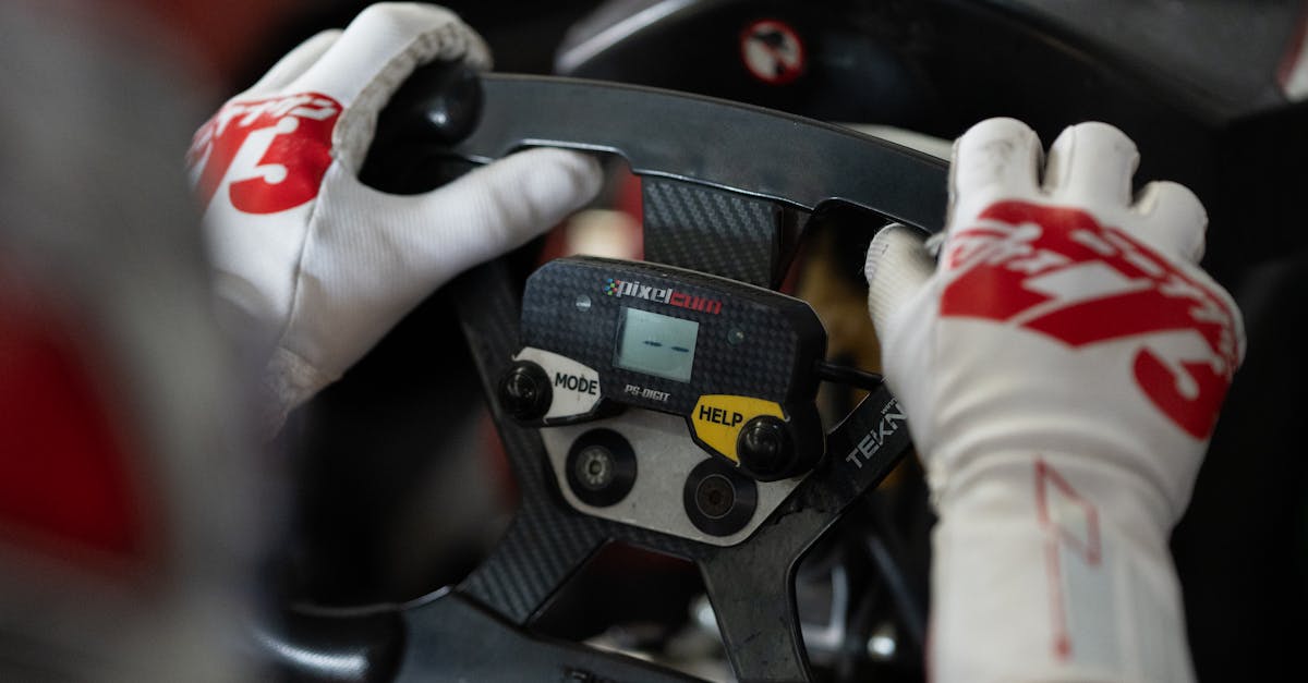 Can you control squirrels?