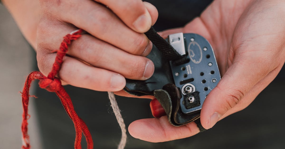 How do I remove a dead animal from Alachua County?