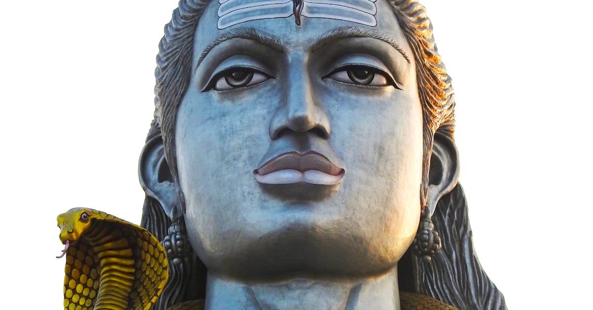 What is the best way to escape a snake?