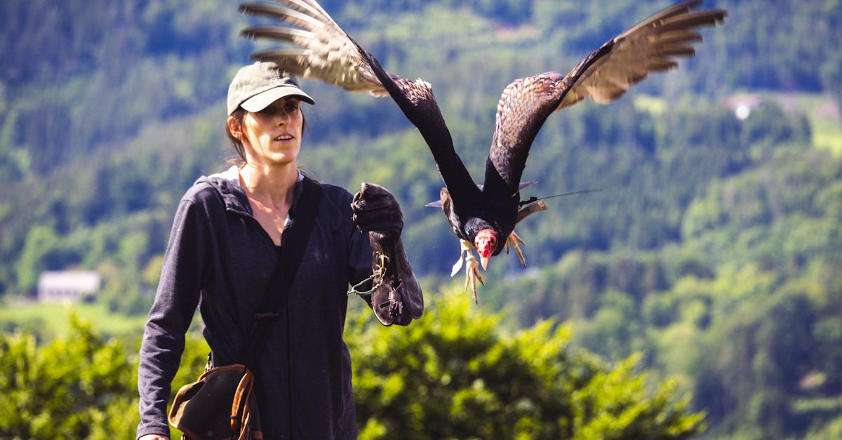 What is the most effective bird control?