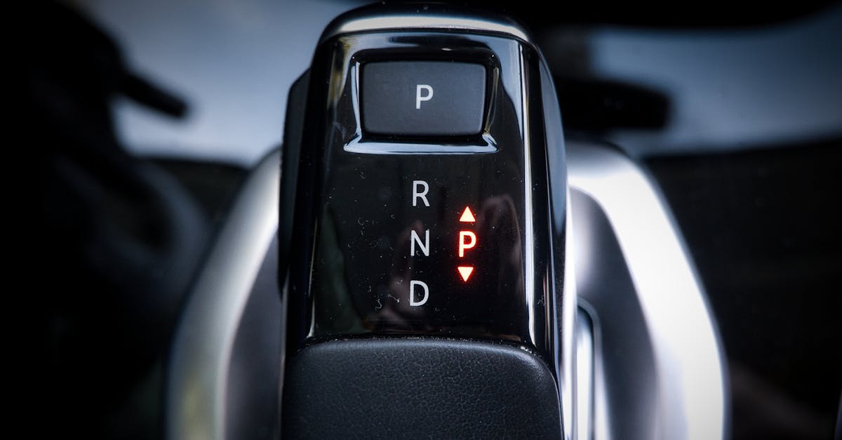 What will keep squirrels away?