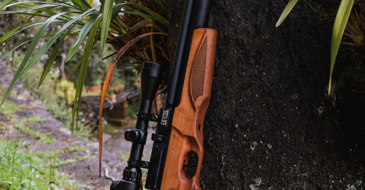 When to call animal control on a neighbor near me?