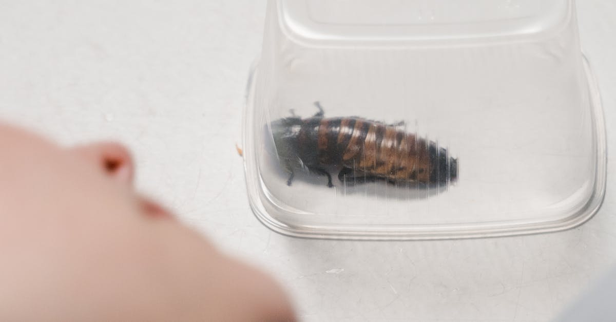 Wimberly Estates, Gainesville